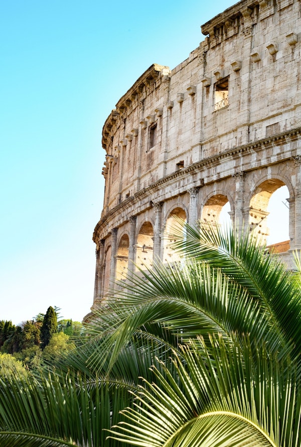 The Colosseum in Rome Palm 2