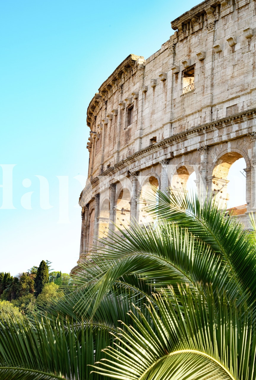 Colosseum structure with palm leaves and blue sky wallpaper