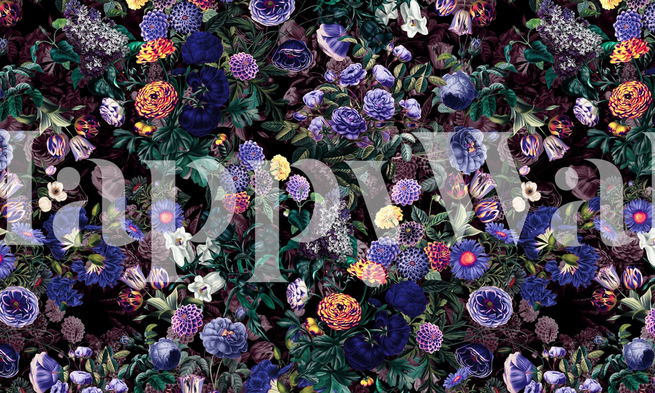 Colorful assorted flowers with dark green leaves on black background wallpaper