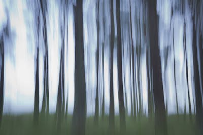 Τοιχογραφία