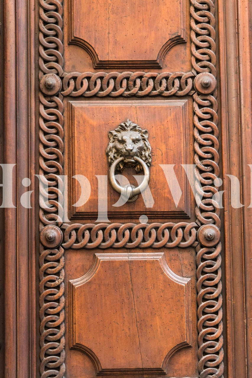 Roman door with lion knocker on wood panel wallpaper