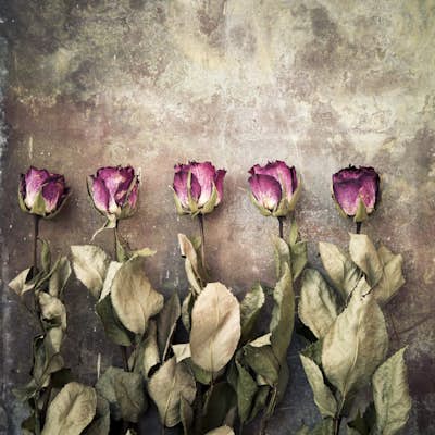 Τοιχογραφία