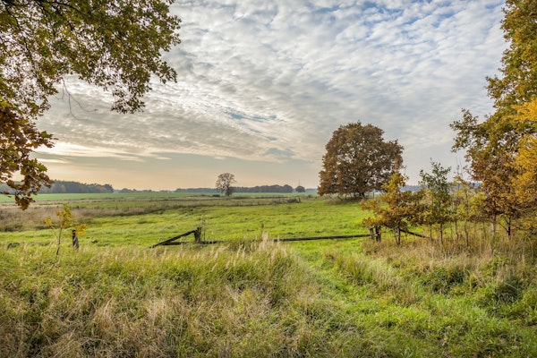 Rural North Germany Landscape