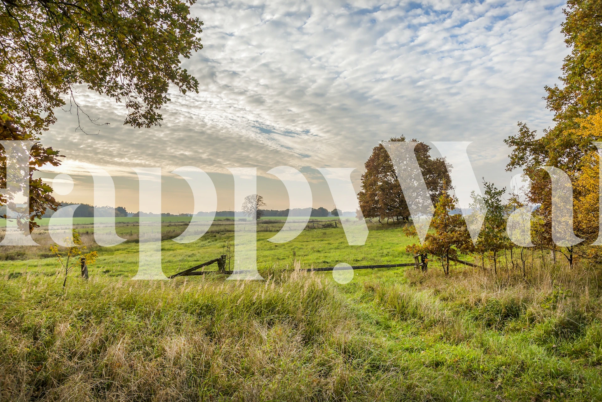 Rural North Germany Landscape tapet i et rom