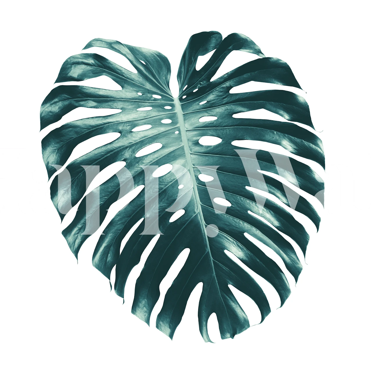 Carta da parati Tropical Monstera Leaf in una stanza