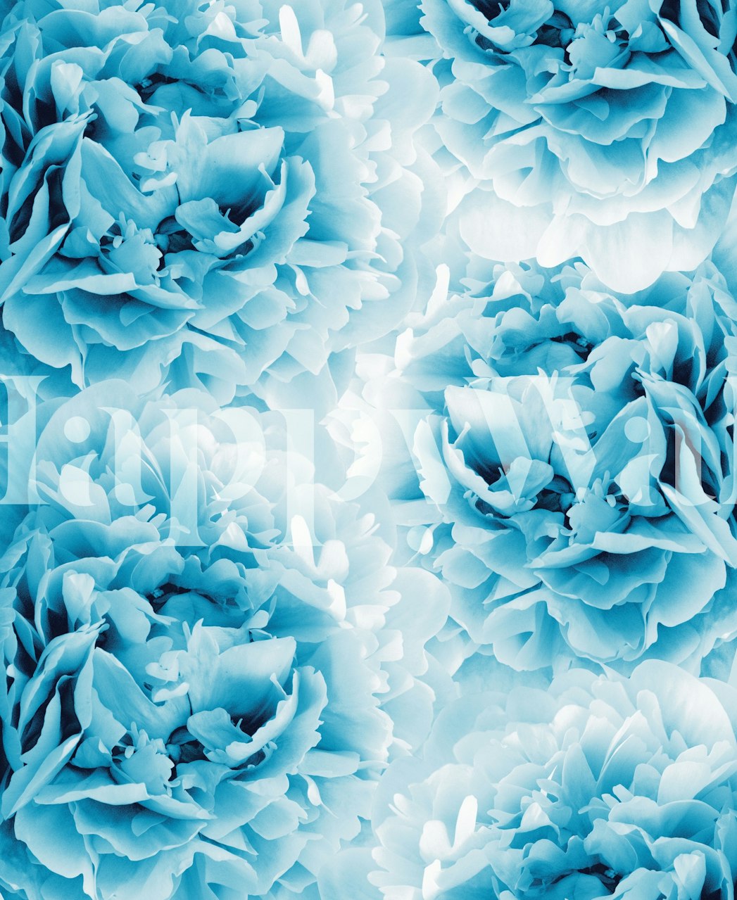 Κομψό μπλε βιολέτα τοιχογραφία για ήρεμη ατμόσφαιρα δωματίου