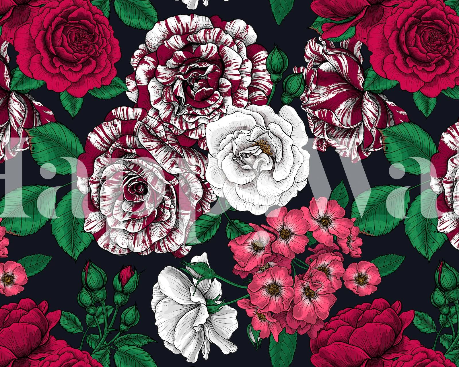Colorful roses in shades of red, pink, and white on a dark background wallpaper