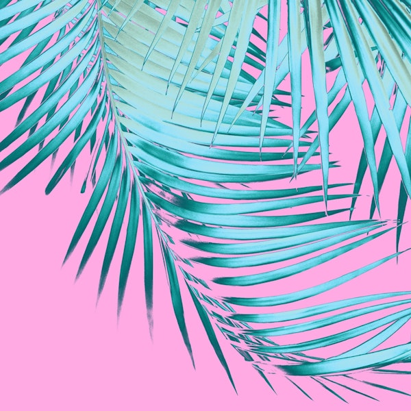 Palm Leaves Pink Blue Vibes 1