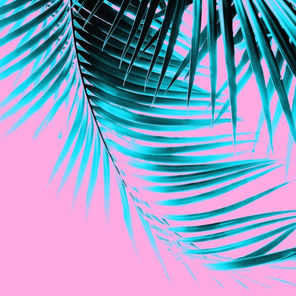 Palm Leaves Vibes 3