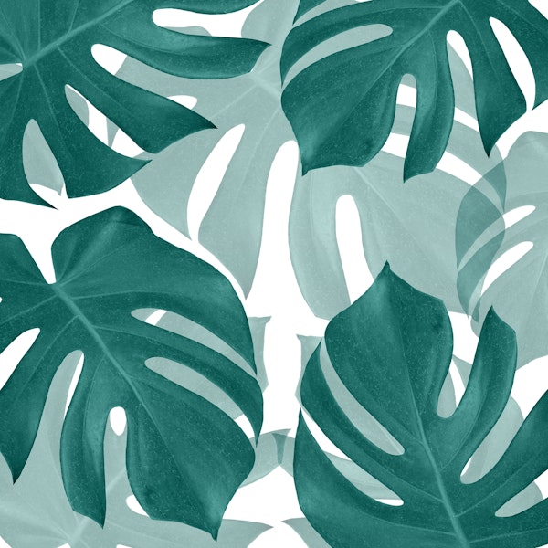 Monstera Leaves Vibes 1