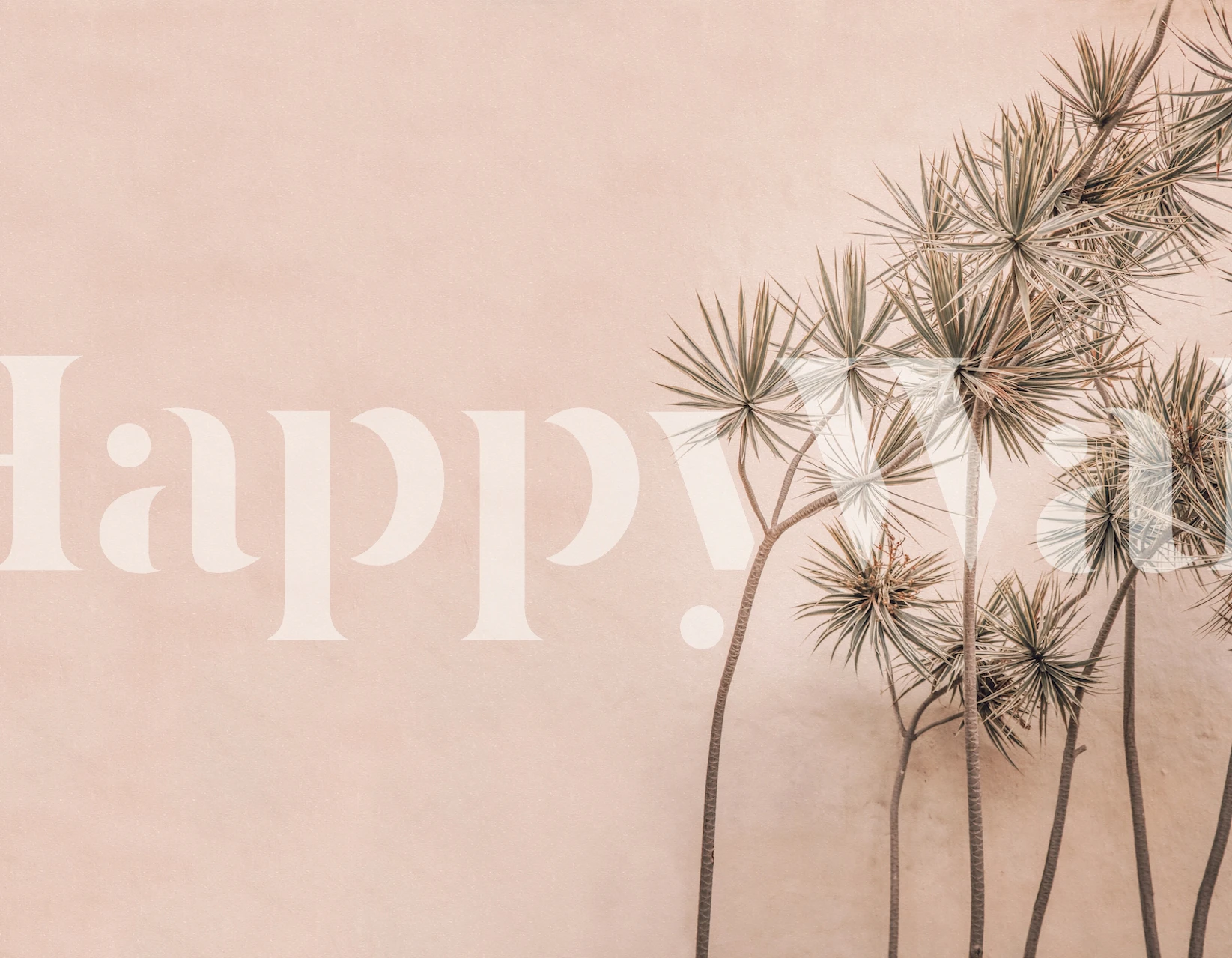 Tropical palm leaves with pink background wallpaper