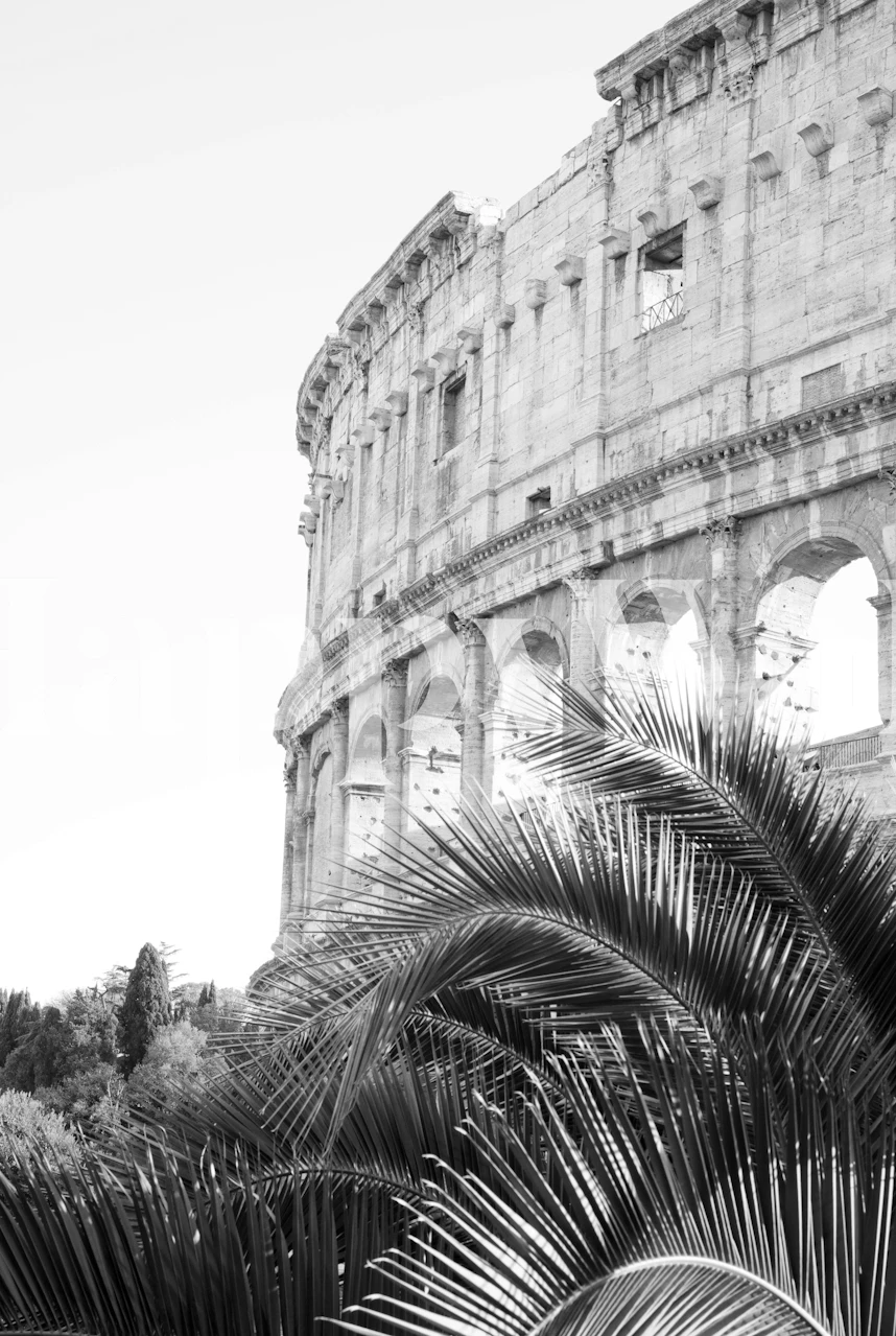 Colosseum in Rome s tapetou s palmovými listy
