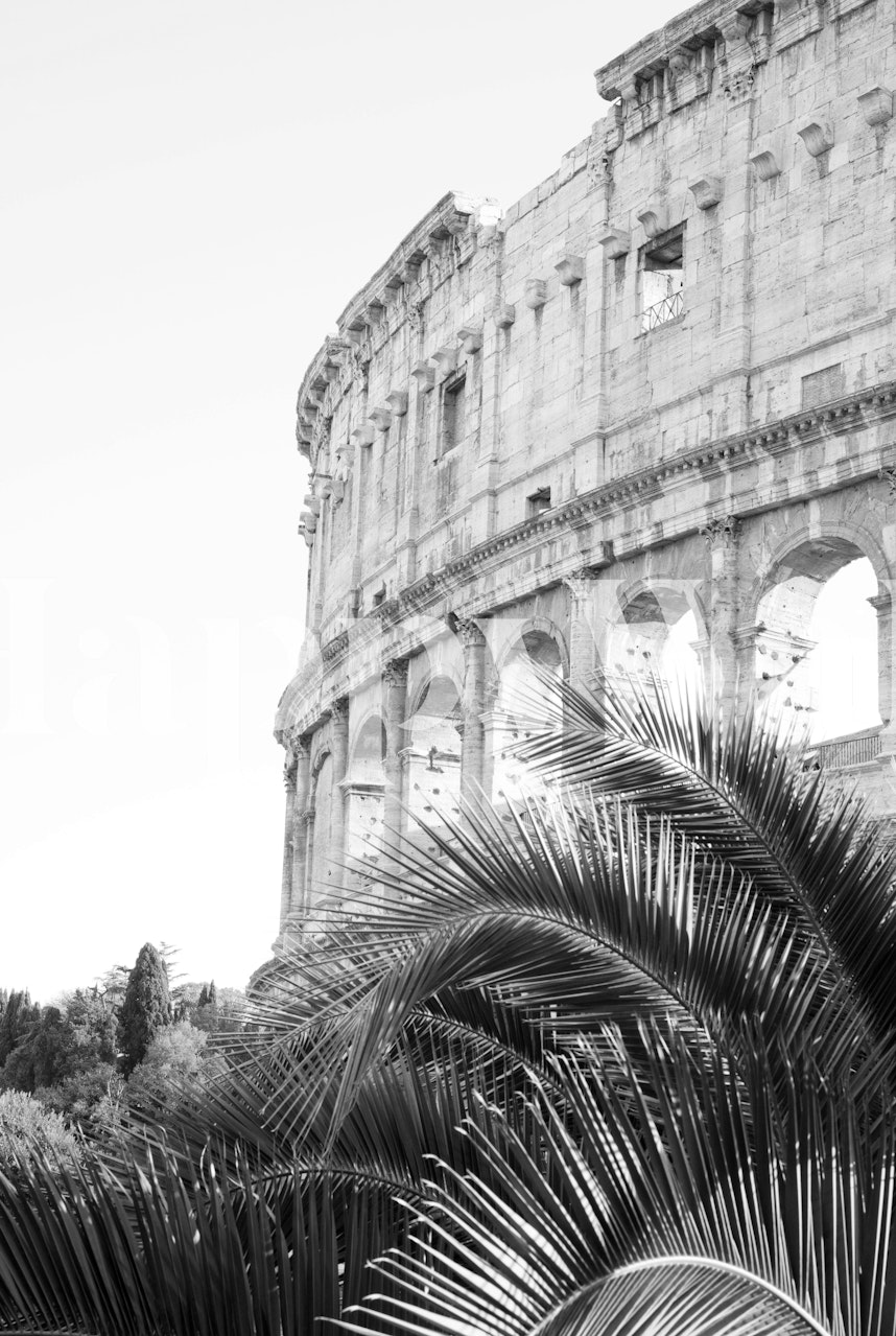 Colosseum in Rome with palm leaves wallpaper