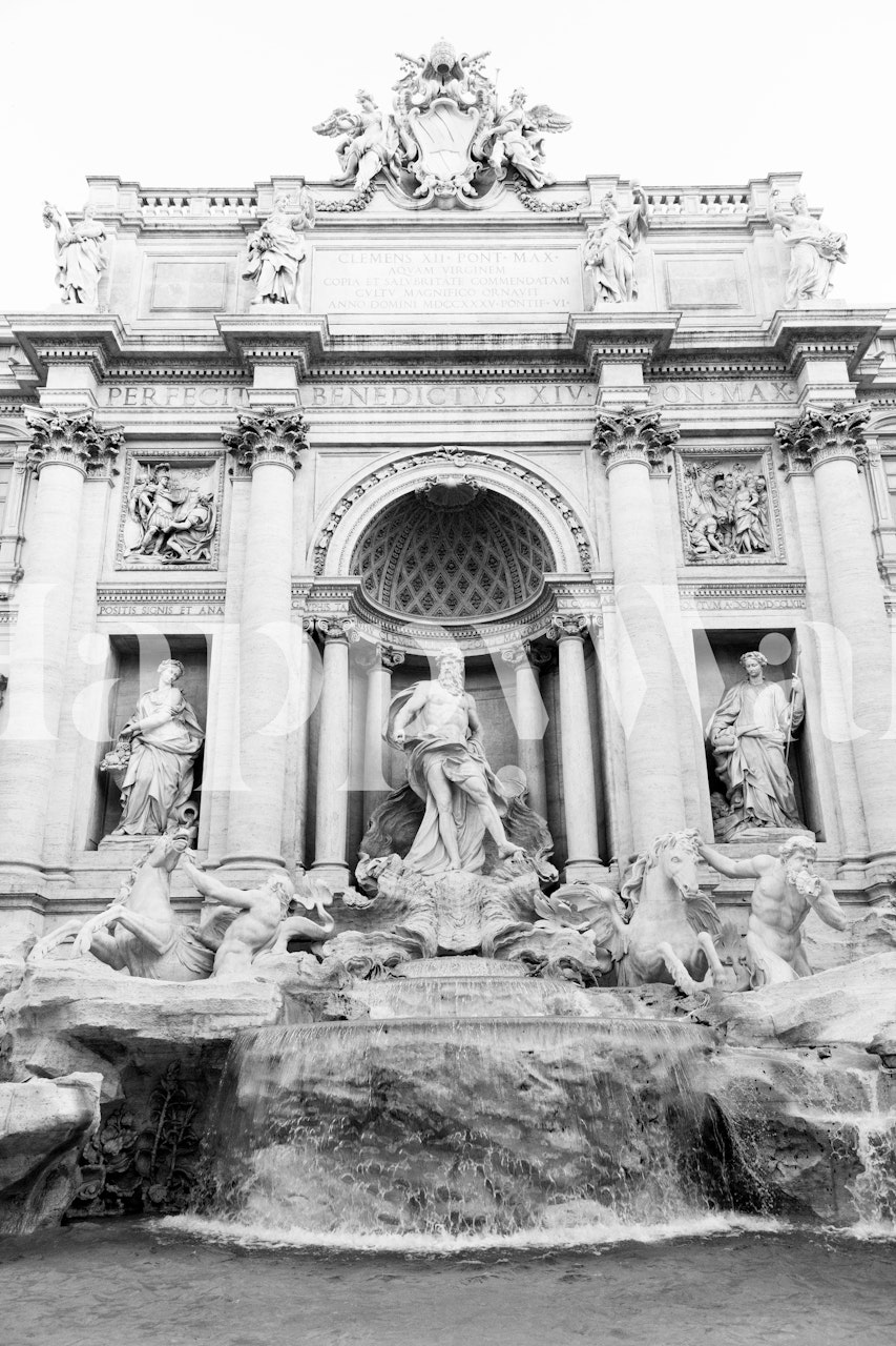 Trevi Fountain in black and white wallpaper