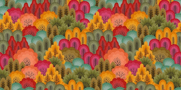 Colorful autumn forest