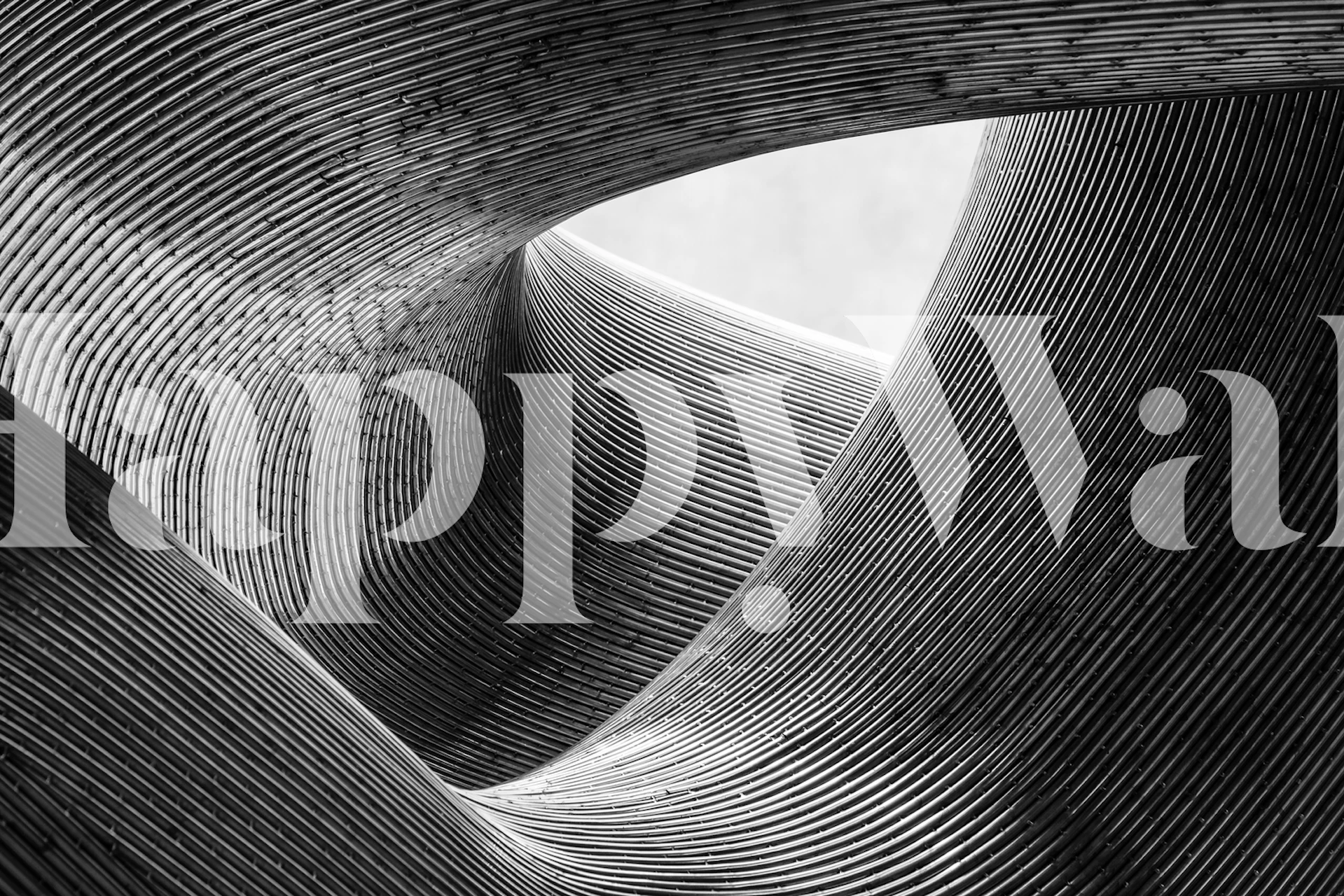 Curved black and white lines wallpaper in abstract pattern