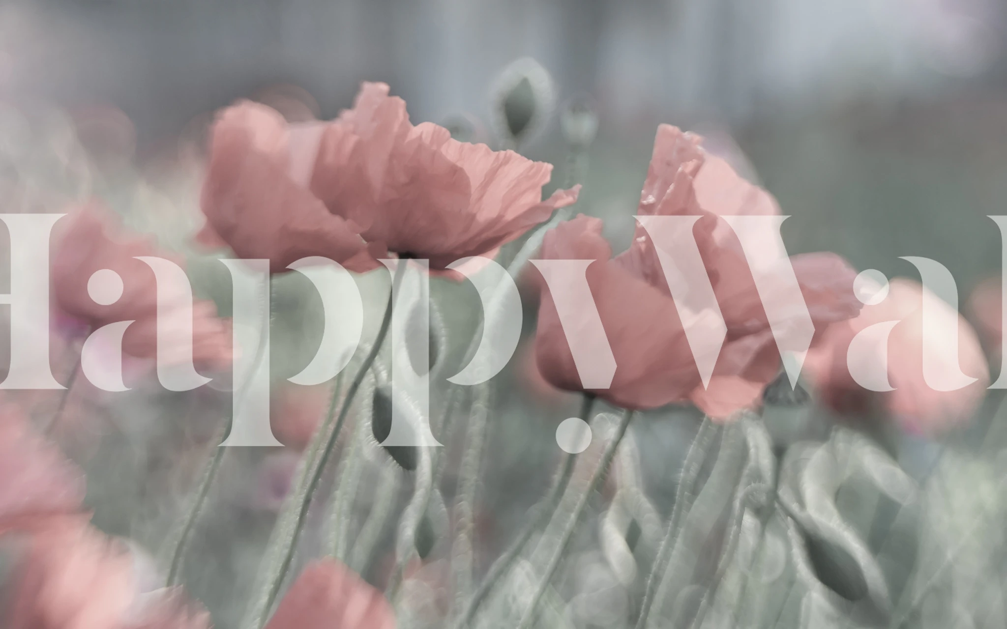 Pink soft poppies with green stems floral wallpaper