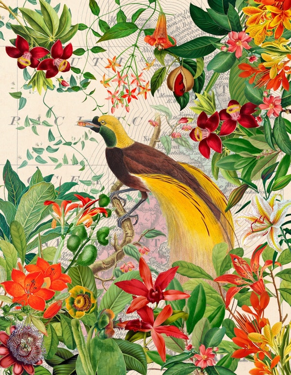 Exotic Bird Opulent Flower Jungle