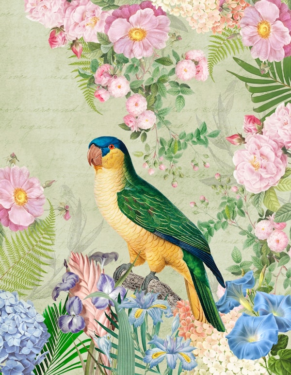 Exotic Bird Flower Jungle 1