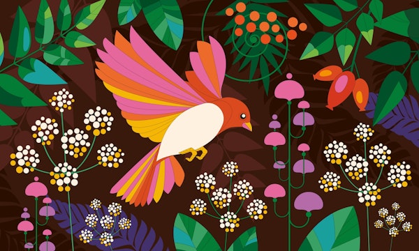 Red bird in dark forest