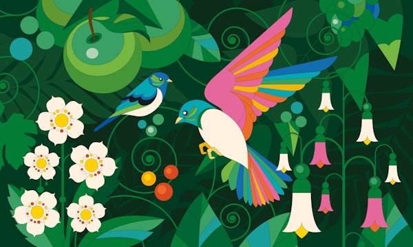 Two birds in emerald forest