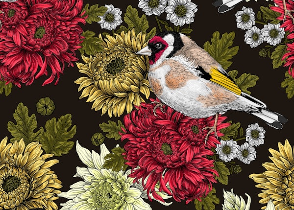 Goldfinch and chrysanthemums