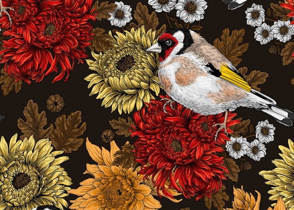 Goldfinch and chrysanthemums 3