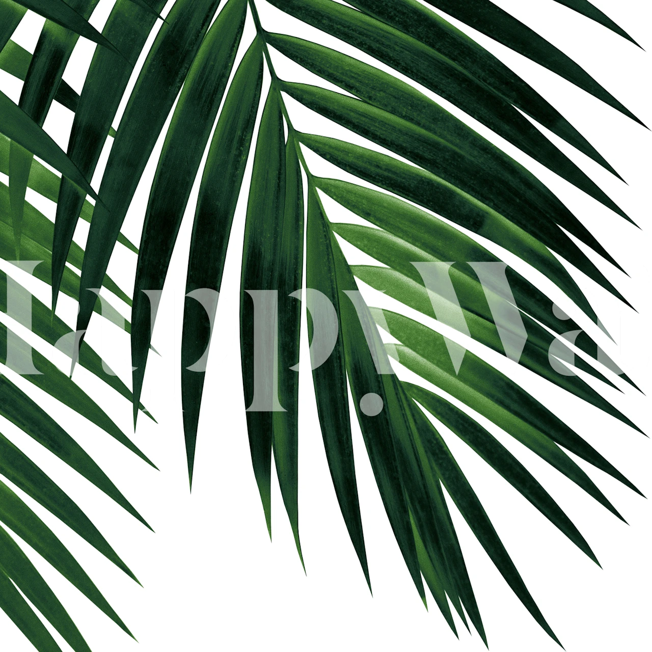 tapeta Tropical Green Palm Leaf v pokoji