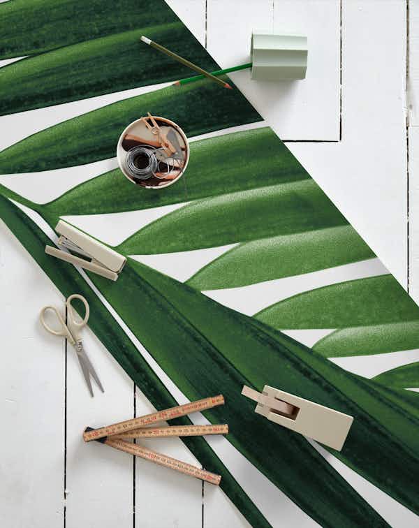 Tropical Green Palm Leaf 1 wallpaper roll