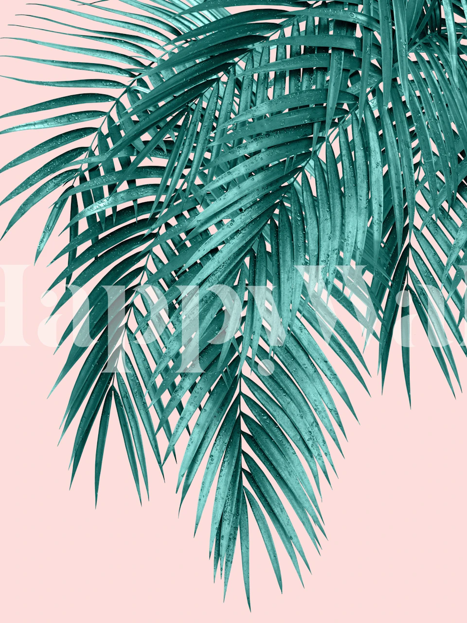 Palm leaves wallpaper on blush background