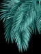 Palm Leaves Teal Night Vibes 1