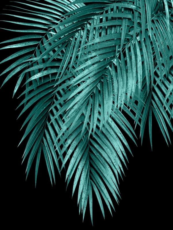 Palm Leaves Teal Night Vibes 1