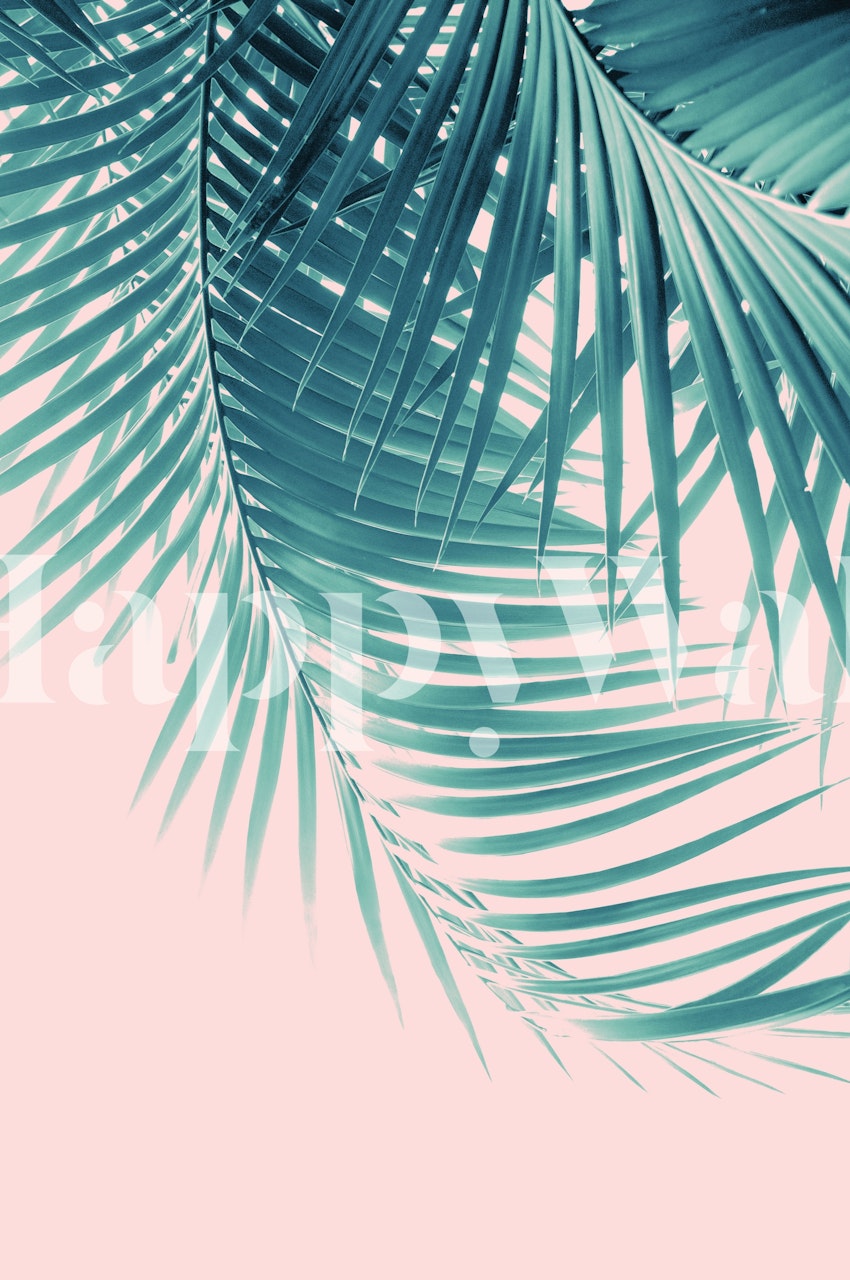Tropical palm leaves on soft pink background wallpaper