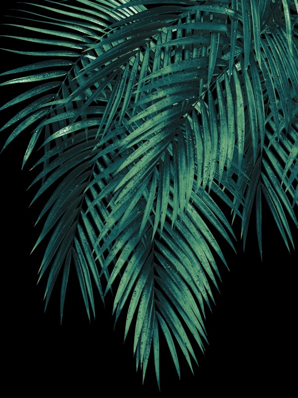 Palm Leaves Green Night 1