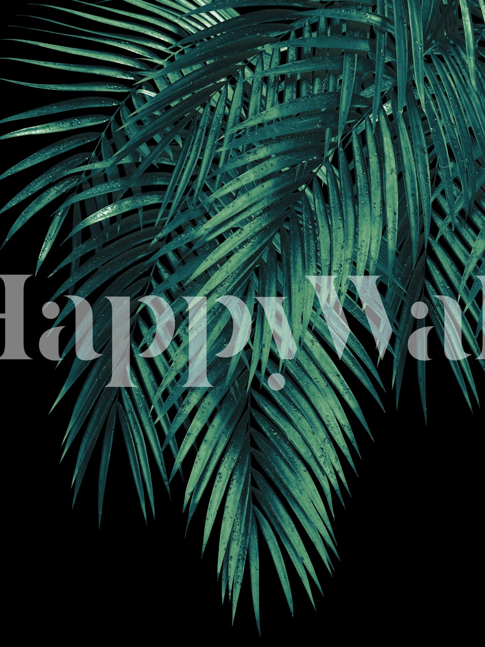 Verdant palm leaves against a dark night backdrop wall mural