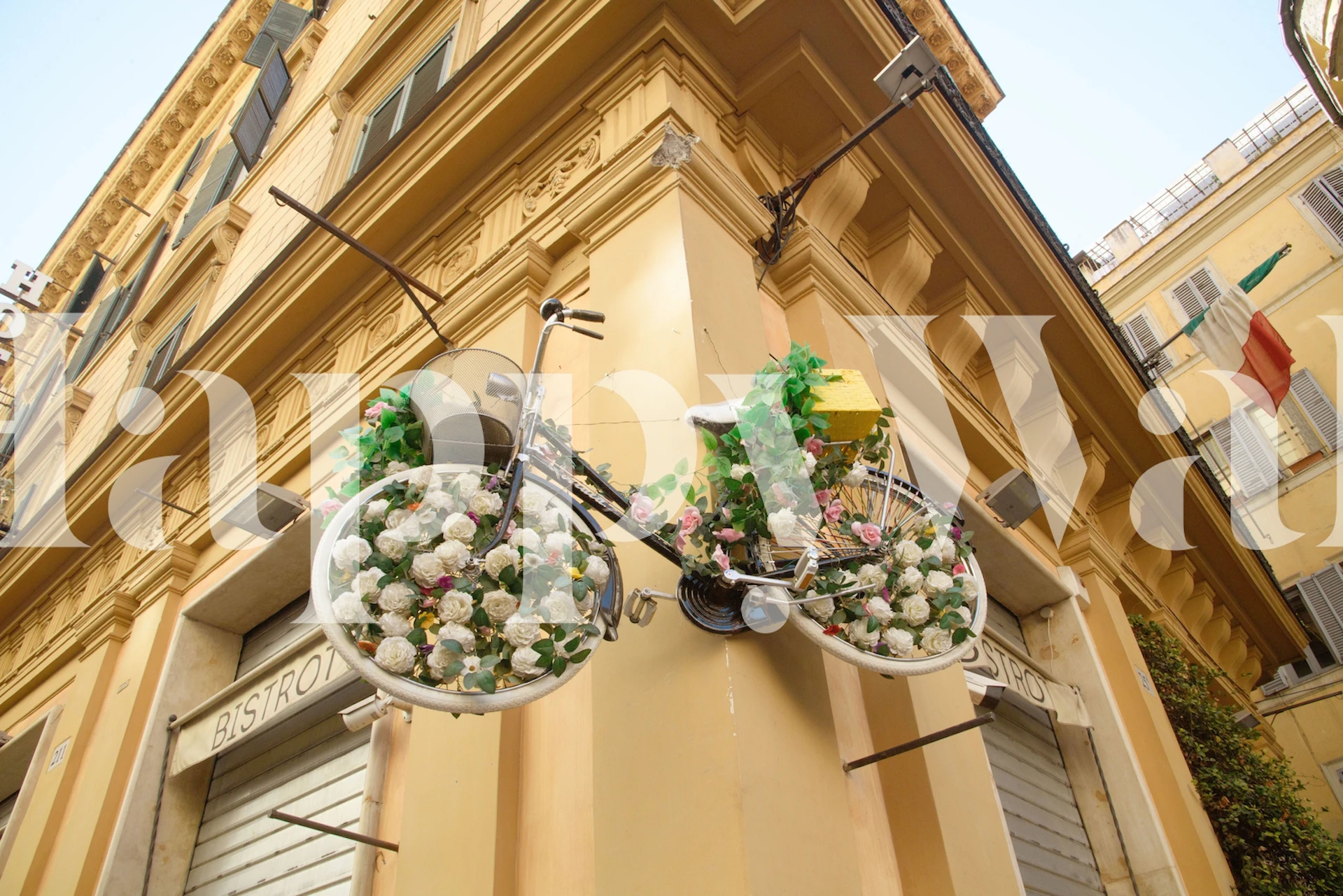 Floral bicycle decorative wall mural with pink and green flowers