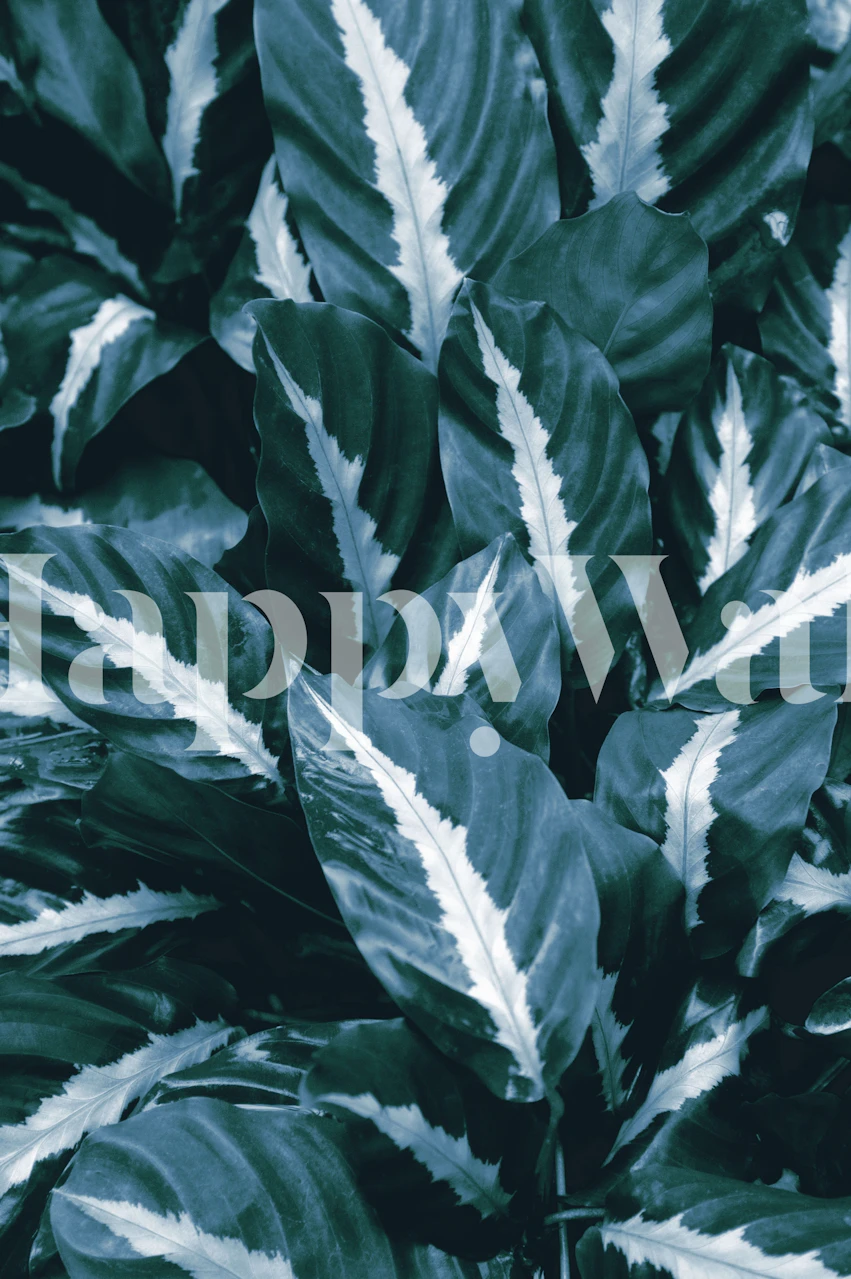 Tropical jungle leaves wallpaper in blue and green colors