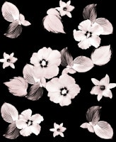 Rose Blush Floral Dream 1 papiers peint