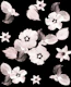 Rose Blush Floral Dream 1