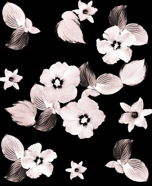 Rose Blush Floral Dream 1