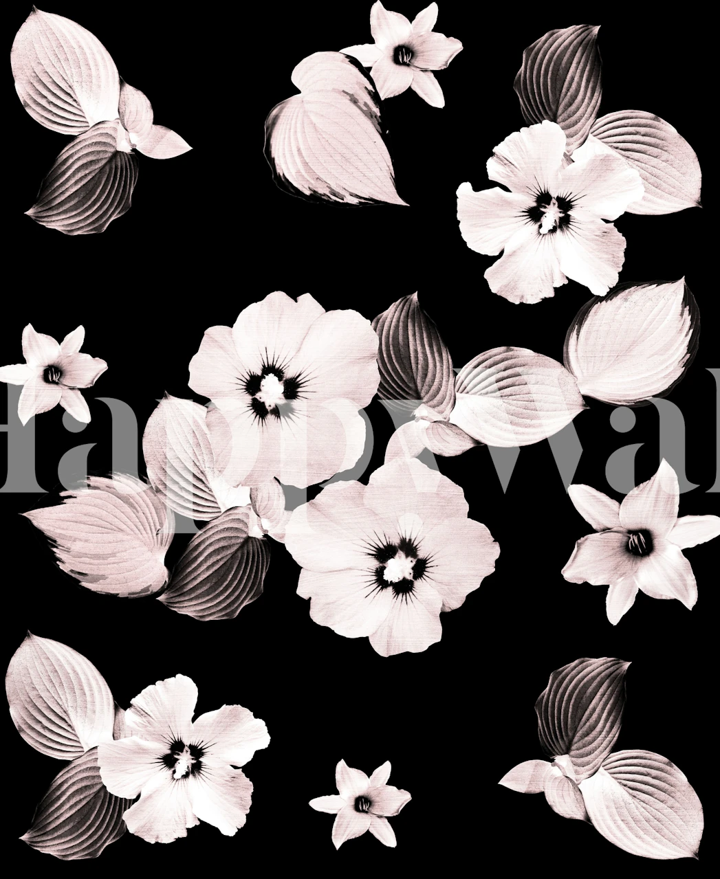 Rose Blush Floral Dream wallpaper in a room