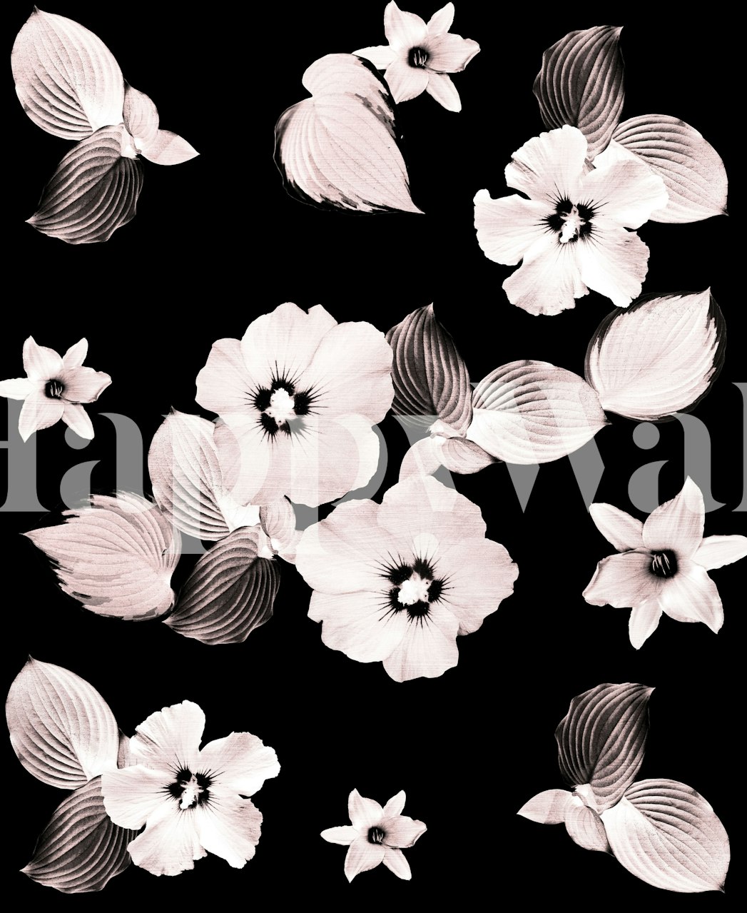 Rose Blush Floral Dream wallpaper in a room