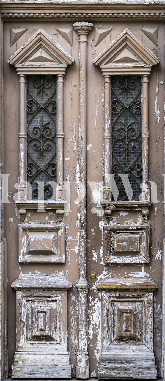 Rustic wooden door mural with ornate metal details from Lisbon