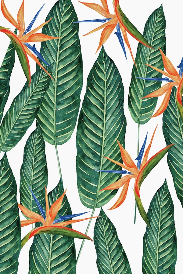 Banana Leaves And Flowers