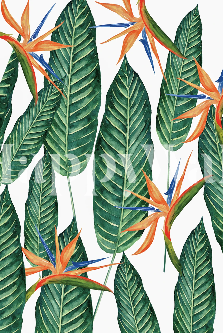 Tapeta Banana Leaves And Flowers u sobi