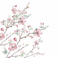 Apple Blossom 2 behang