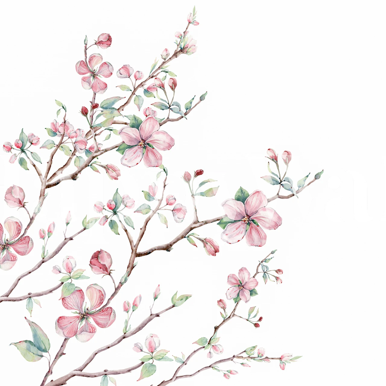 Pink blossom branches with leaves wallpaper
