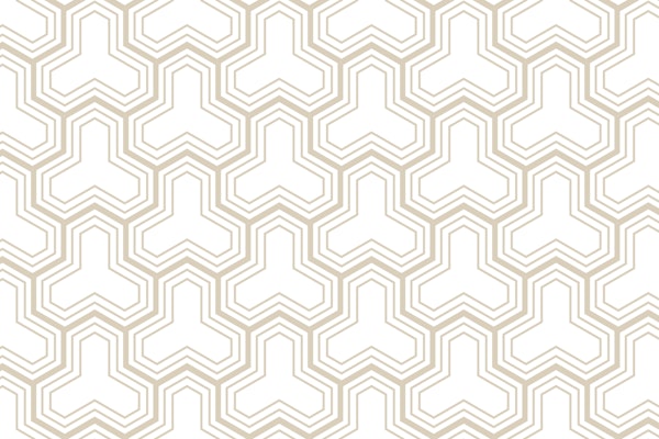 Hexagon geometrical 2