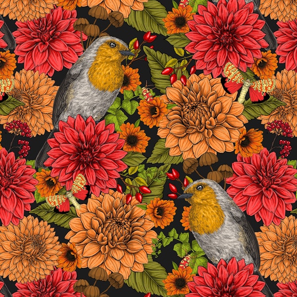 Robins in the garden 4