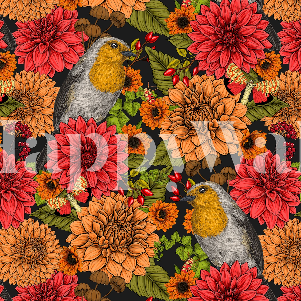 Fototapeta z rudzikami i kolorowymi kwiatami na ciemnym tle, tworząca żywą scenę ogrodową.